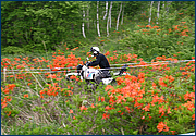 もちろん旧 OHV ボクサー（２バルブ GS クラス）も同じコースを走ります。レンゲツツジが綺麗ですね。